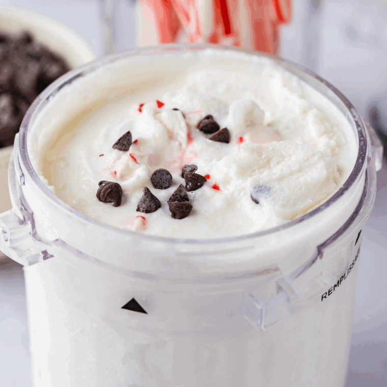 Bowl of creamy peppermint bark ice cream with chocolate chunks and crushed peppermint candy, ready to serve.