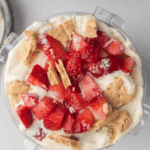Ninja Creami Copycat Baskin Robbins Very Berry Strawberry
