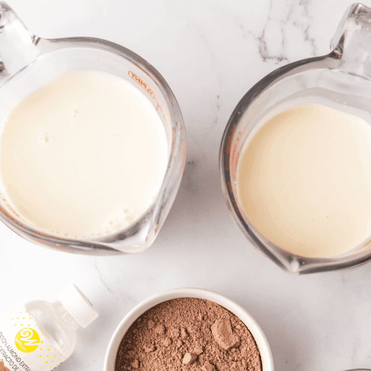 Ingredients needed for Easy Ninja Slushi Eggnog Milkshake on kitchen table.