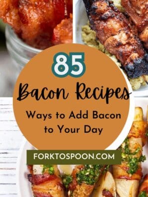 Bacon Everything: 85 Ways to Add Bacon to Your Day