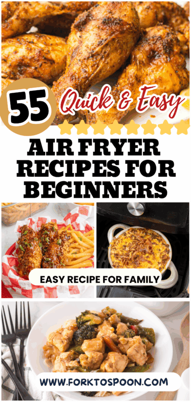 Over 55 Beginner Air Fryer Recipes