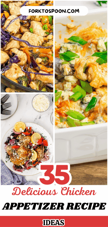 35+ Delicious Chicken Appetizer Recipe Ideas