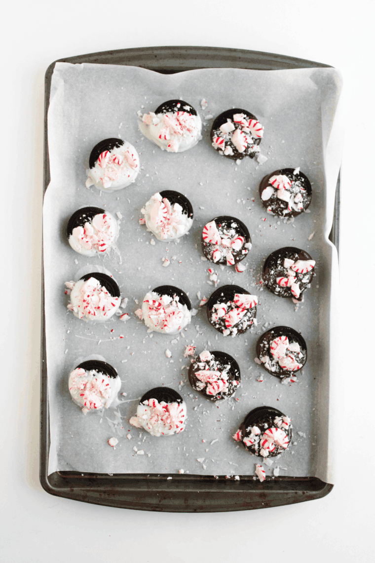 White chocolate covered Oreos topped with crushed peppermint on a baking tray, perfect for holiday gifting or holiday parties.