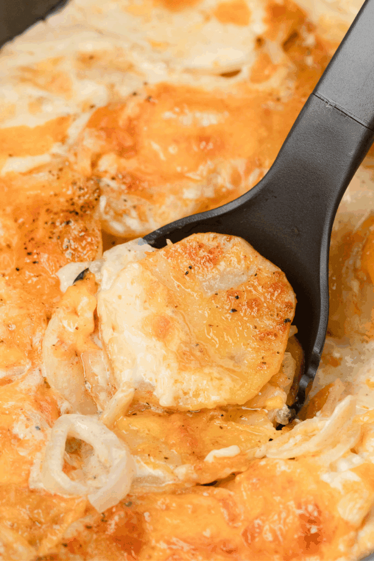 Creamy, cheesy scalloped potatoes baked until golden, visible in a slow cooker insert or transferred to a serving dish.