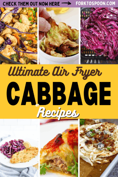 Easy Air Fryer Cabbage Recipes