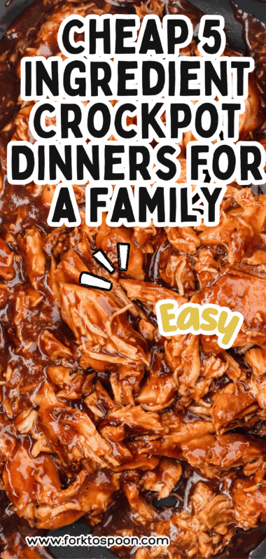 Cheap 5 Ingredient Crockpot Dinners For a Family