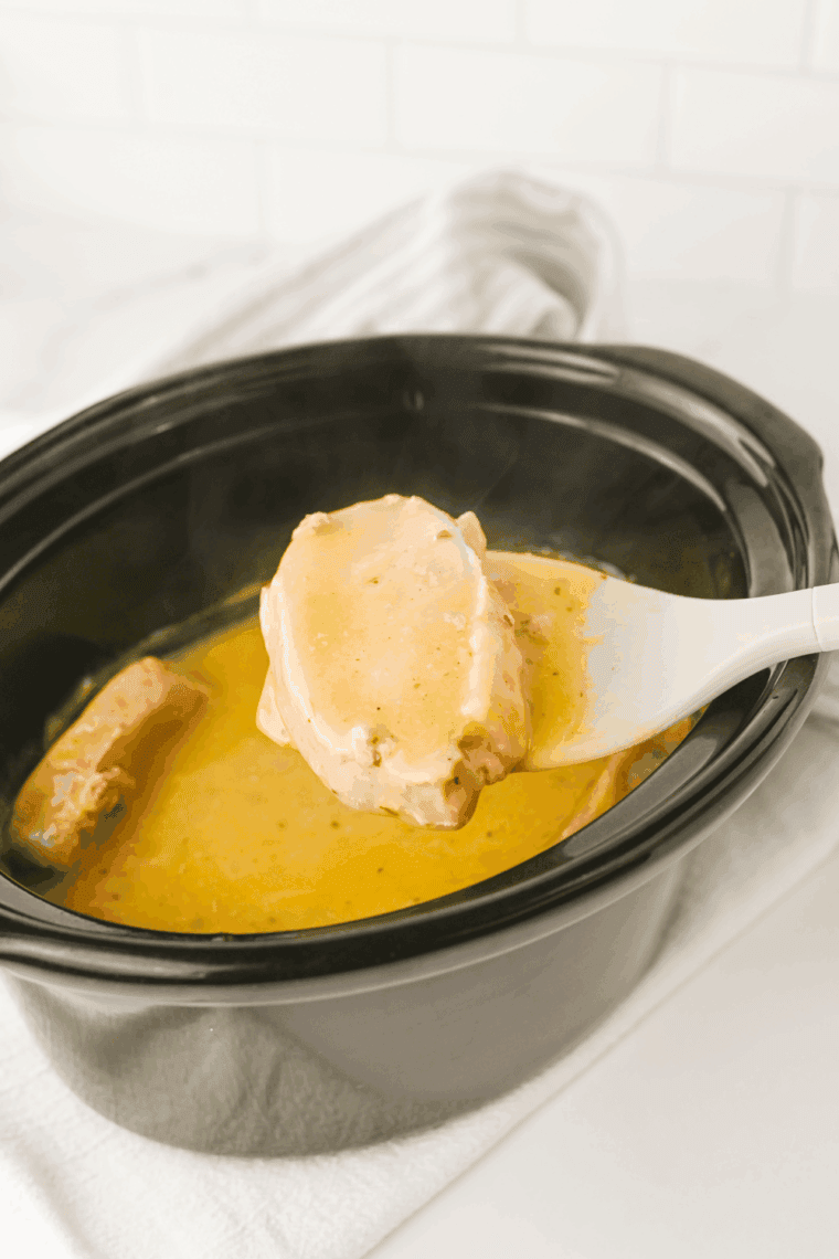 Tender, cooked pork chops in creamy ranch sauce served with mashed potatoes and rice.