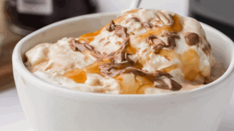 Ninja Creami Ben and Jerry's Vanilla Caramel Fudge - Fork To Spoon