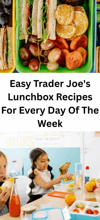 Easy Trader Joe's Lunchbox Recipes For Every Day Of The Week