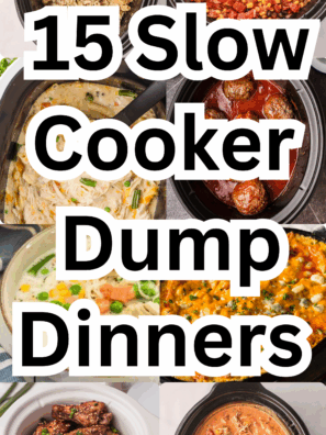 15 Slow Cooker Dump Dinners (5 Ingredients or Less) Easy Crockpot Recipes