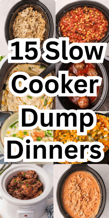 15 Slow Cooker Dump Dinners (5 Ingredients or Less) Easy Crockpot Recipes