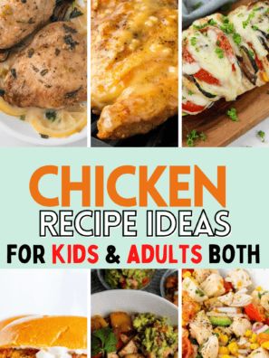 50 Easy Ninja Crispi Chicken Recipes