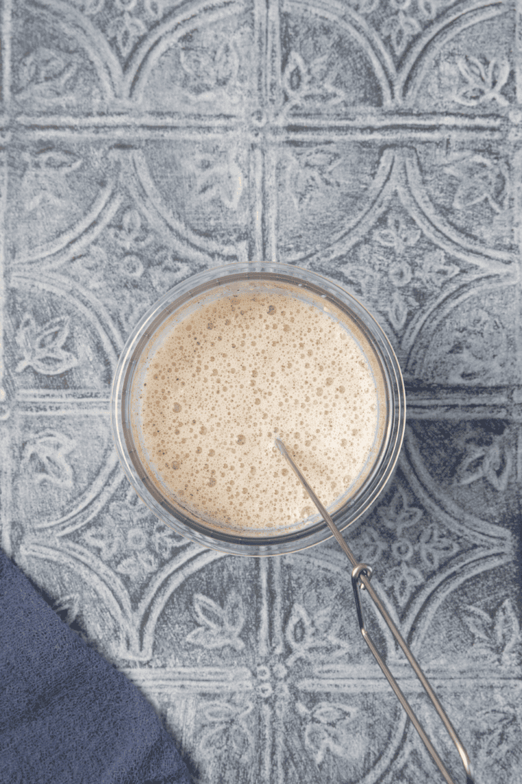 Fresh blueberries, cream, milk, and sugar blended together in a blender for homemade gelato base.