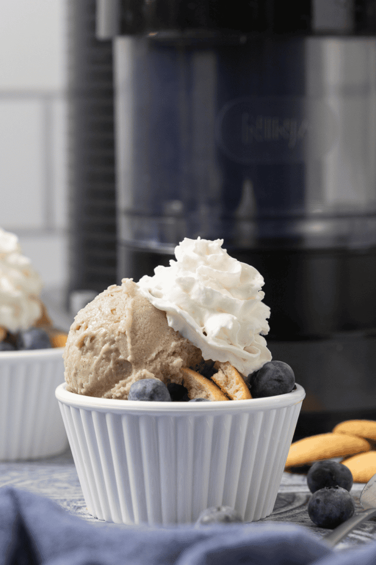 Serving Ninja Creami Blueberry Gelato in bowls with fresh blueberry topping