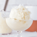 Easy Ninja Creami Coconut Gelato
