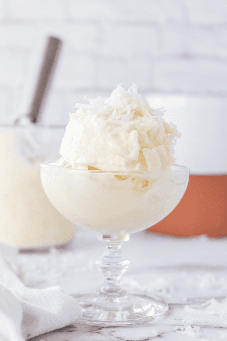 Creamy coconut gelato served in a bowl, topped with shredded coconut.