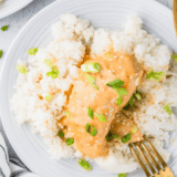 Easy Slow Cooker Bang Bang Chicken