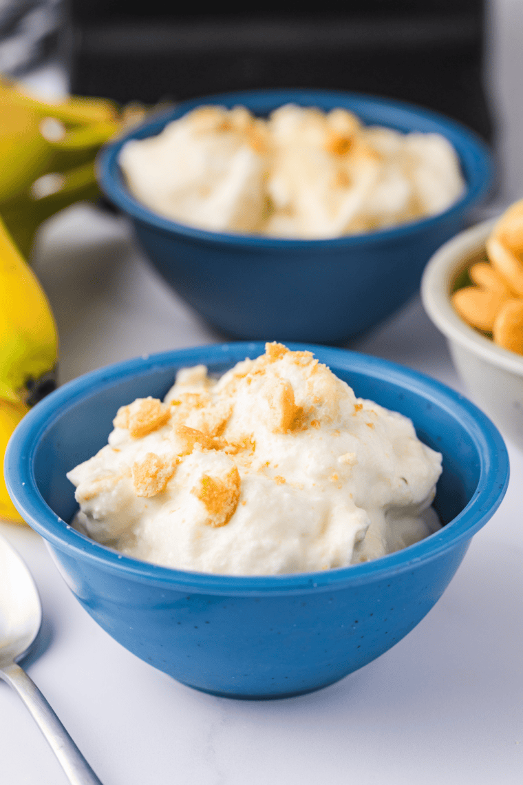 Ninja Creami Nutty Coconut ice cream in a bowl topped with toasted coconut flakes and chopped nuts.
