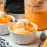 Ninja Creami Orange Creamcicle Italian Ice