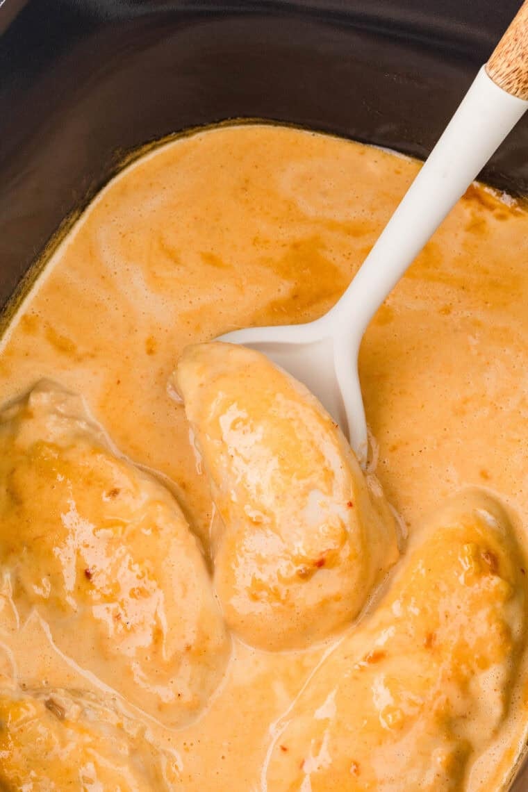 Slow cooker bang bang chicken shredded and served over rice with creamy sauce.