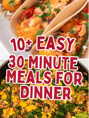 10+ Easy 30 Minute Meals for Dinner