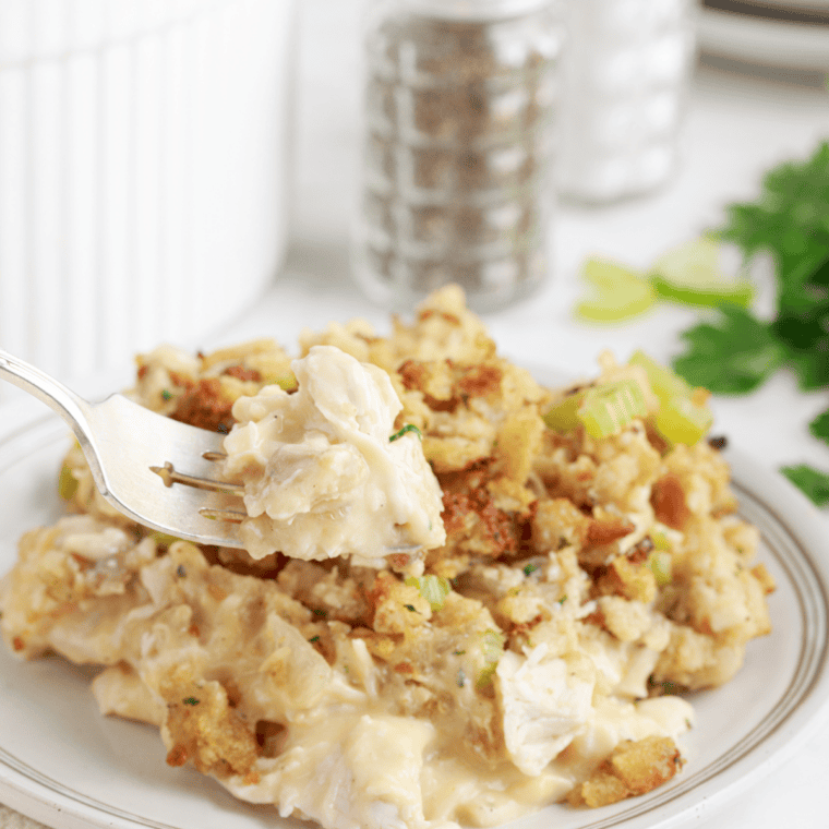 Slow cooker chicken and stuffing served on a plate with creamy sauce and golden stuffing.