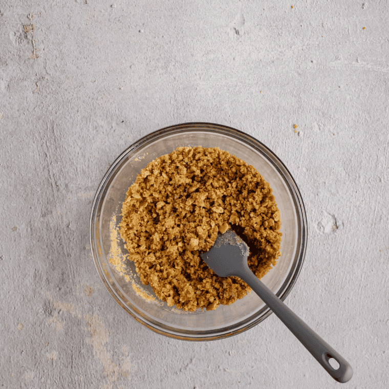 Graham cracker crumbs, melted butter, and sugar mixed to a wet-sand texture for cheesecake crust