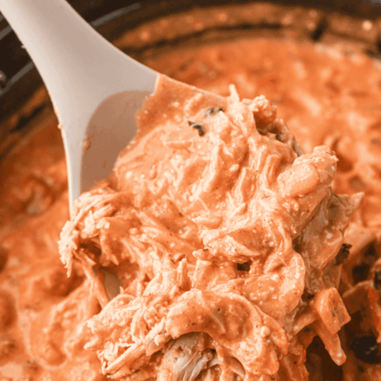 Shredded chicken tossed with homemade white chicken chili seasoning mix