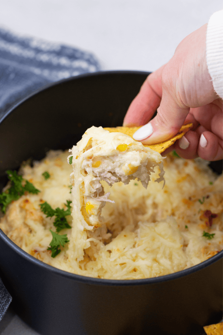 White chicken chili cheese dip made with homemade seasoning mix, served in a white bowl