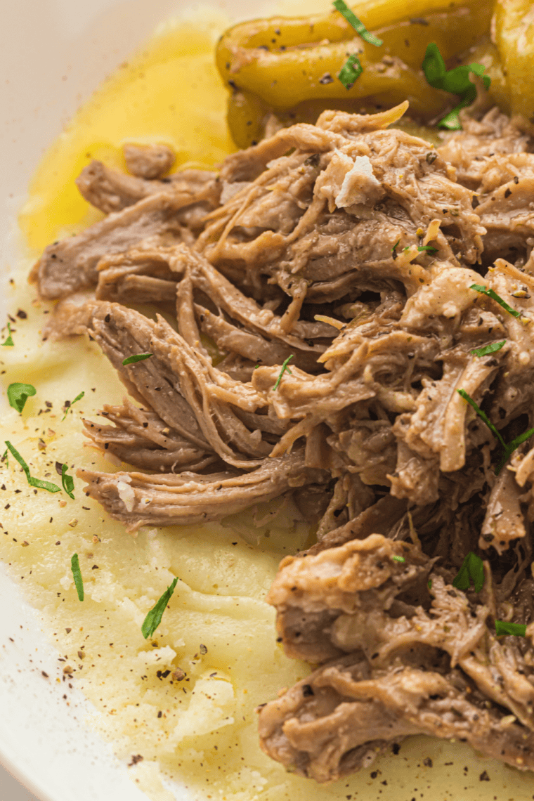 Tender shredded Mississippi pork roast cooked in a slow cooker with ranch seasoning and au jus gravy.
