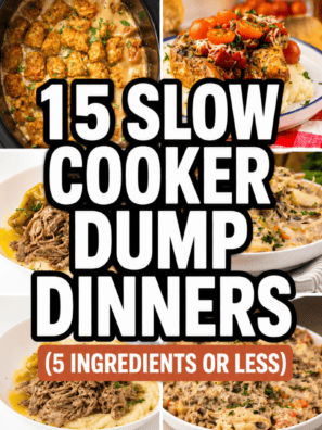 15 Slow Cooker Dump Dinners (5 Ingredients or Less) Easy Crockpot Recipes