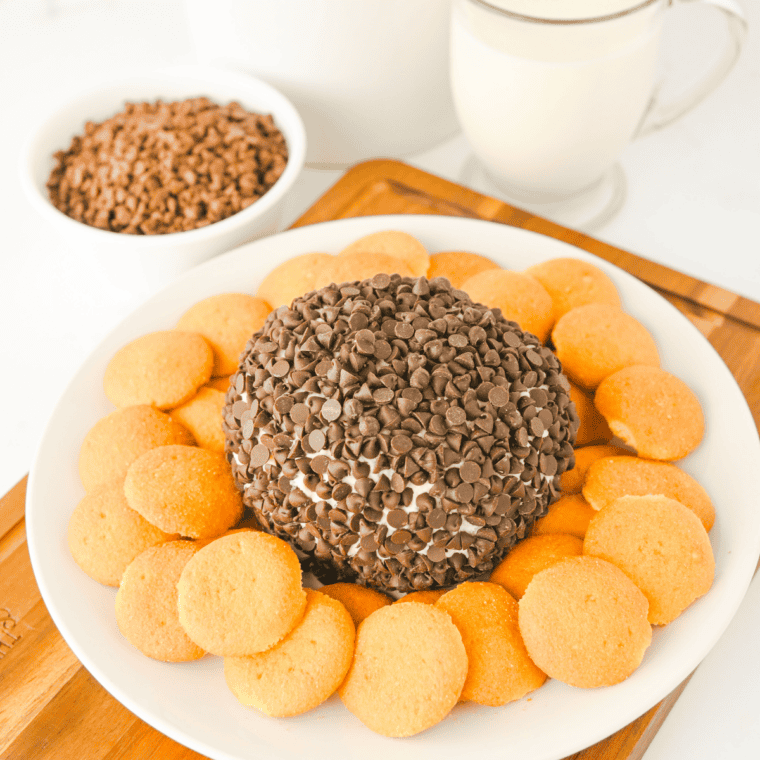 Close-up of a chocolate chip cheese ball covered in mini chocolate chips on a wooden board