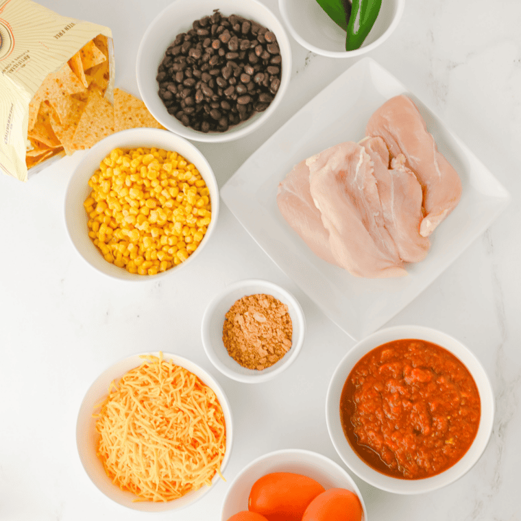 Ingredients for crockpot chicken nachos including chicken breasts, taco seasoning, salsa, canned corn, black beans, shredded cheddar, Roma tomatoes, jalapeños, and tortilla chips