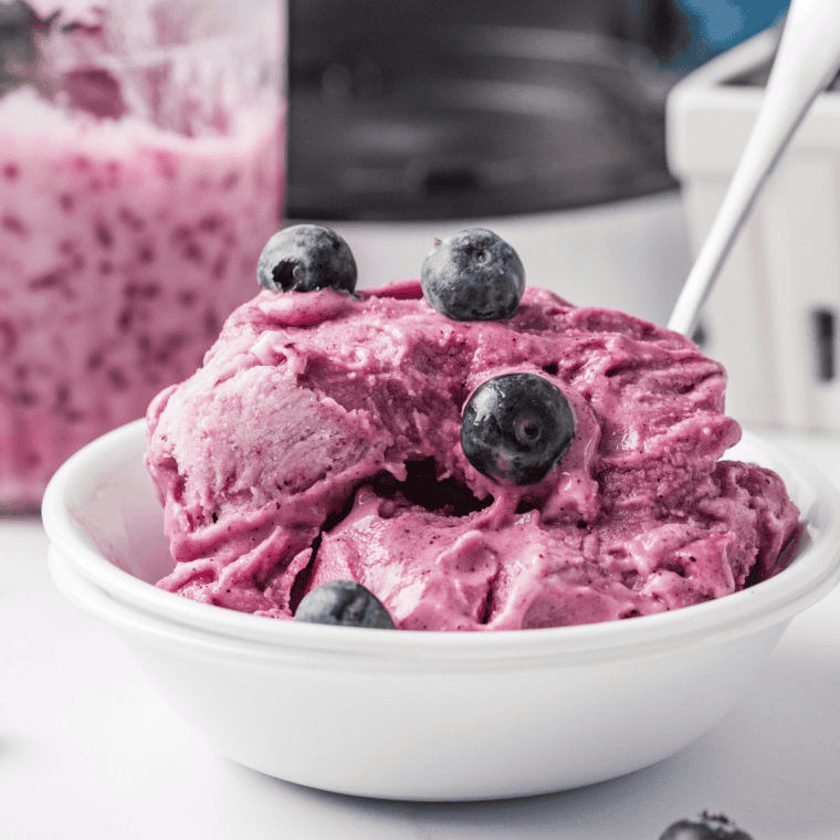 Ninja Creami blueberry frozen yogurt in a bowl topped with fresh blueberries