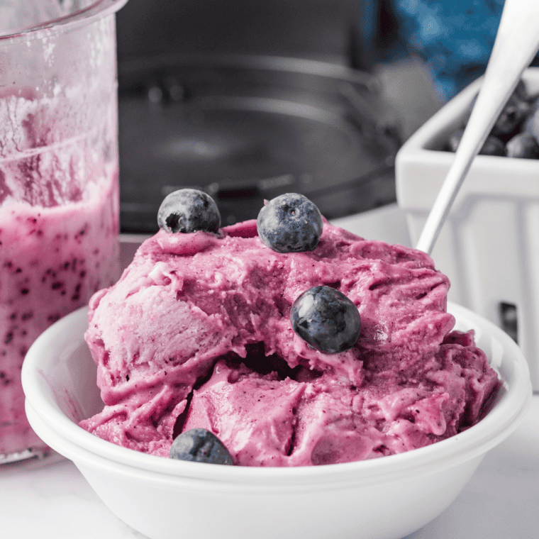 Ninja Creami blueberry frozen yogurt in a bowl topped with fresh blueberries