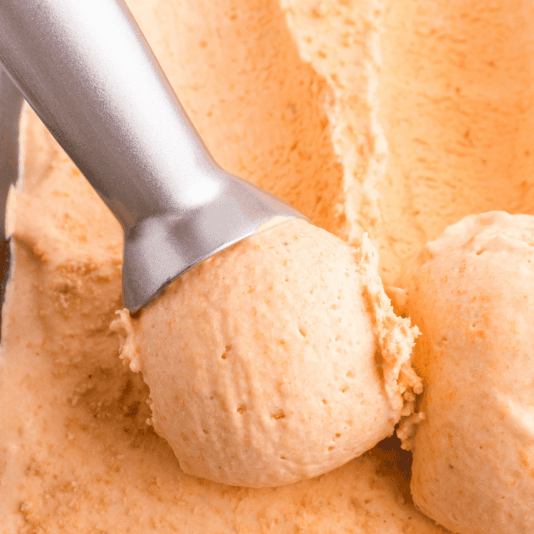 Soft-serve texture pumpkin cottage cheese ice cream fresh from the machine