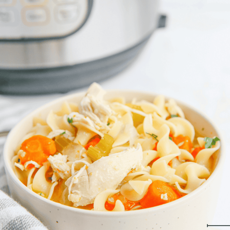 Bowl of copycat Denny's chicken noodle soup with egg noodles, carrots, celery, and chicken in golden broth