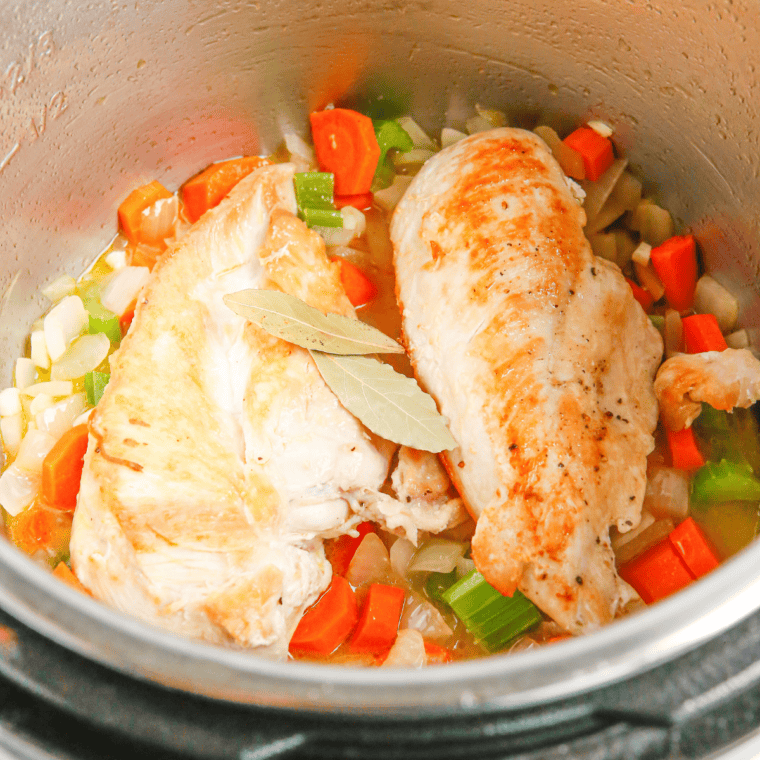 Chicken breasts and broth in an Instant Pot before pressure cooking