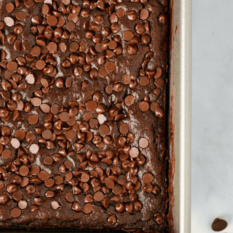 Pioneer Woman Coca-Cola cake with glossy chocolate frosting and pecans in a 9x13 pan